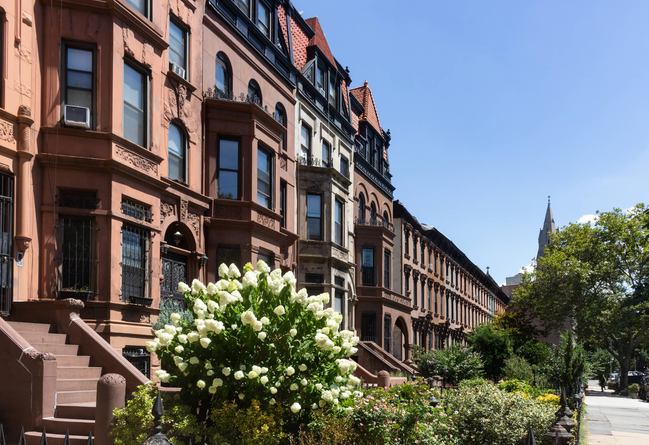 bed stuy architecture on willoughby street