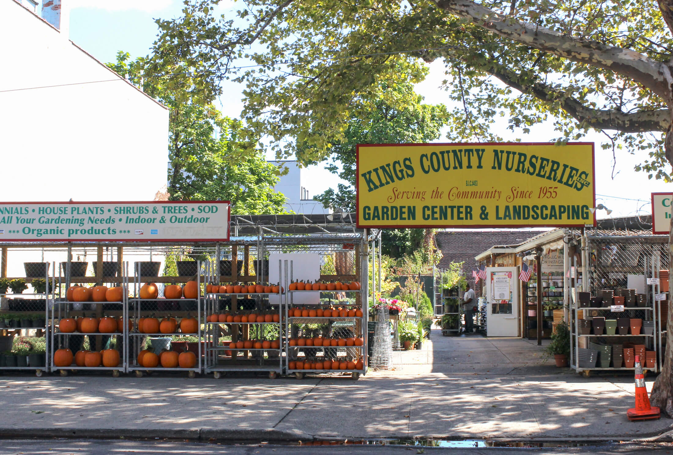 exterior of kings county nurseries