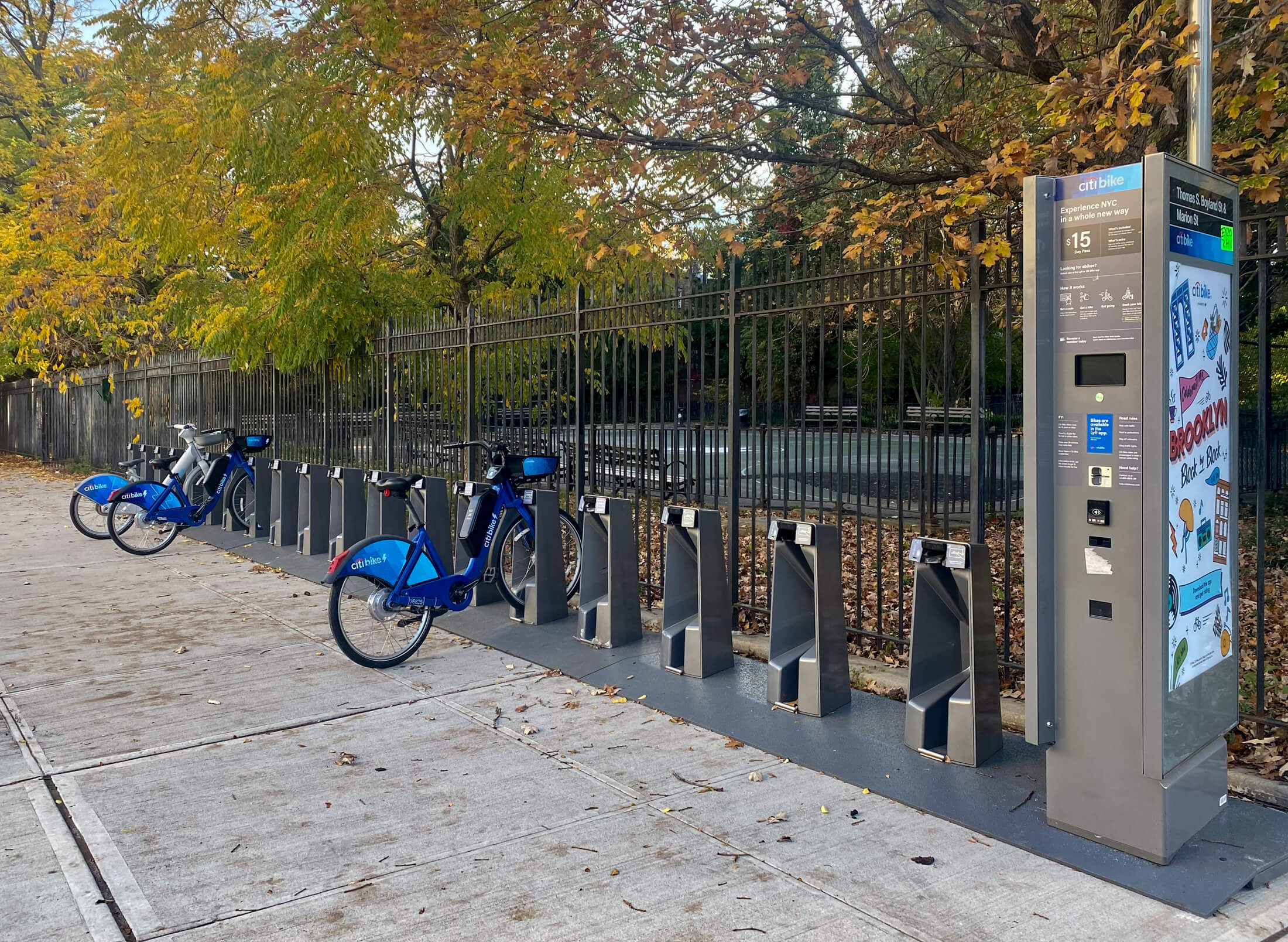 citi bike stand bed stuy