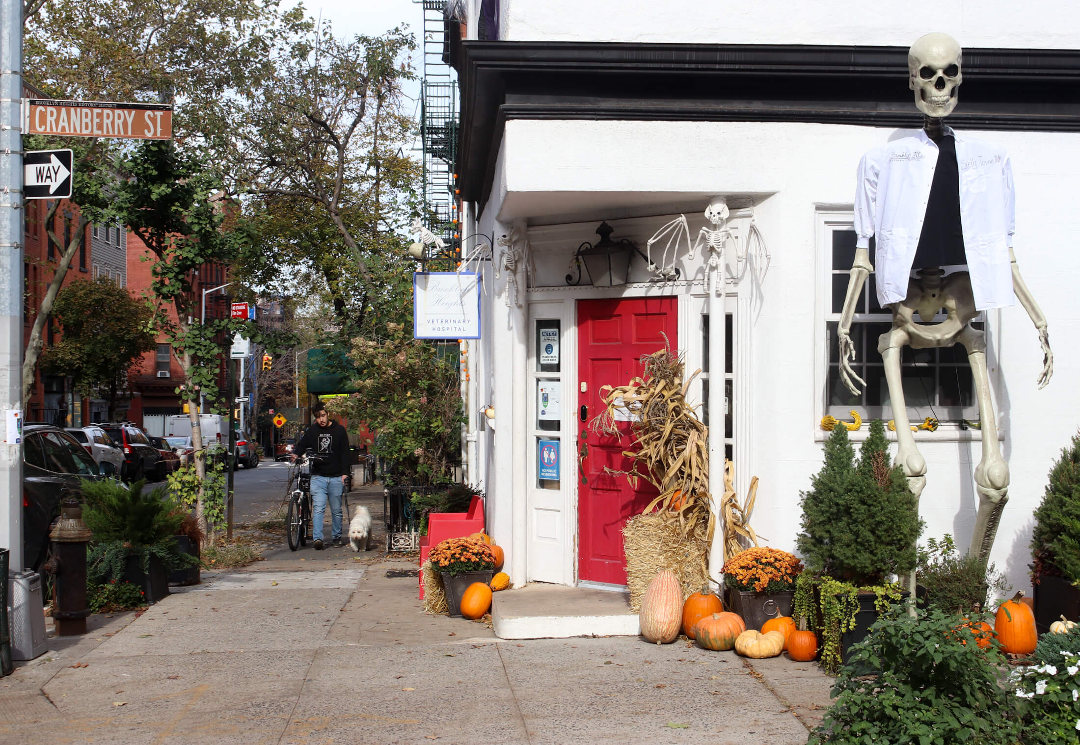 brooklyn heights halloween