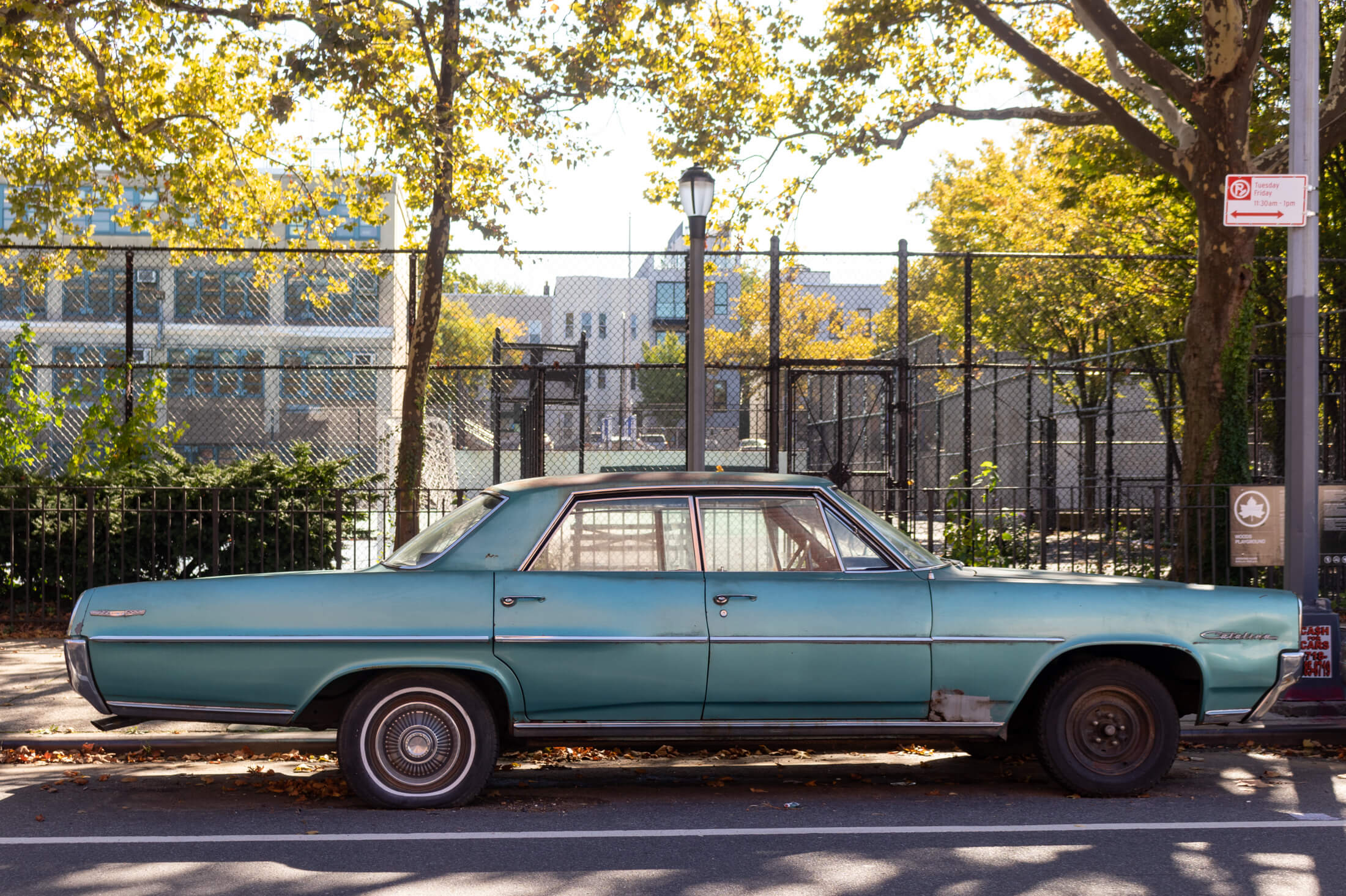 crown heights brooklyn