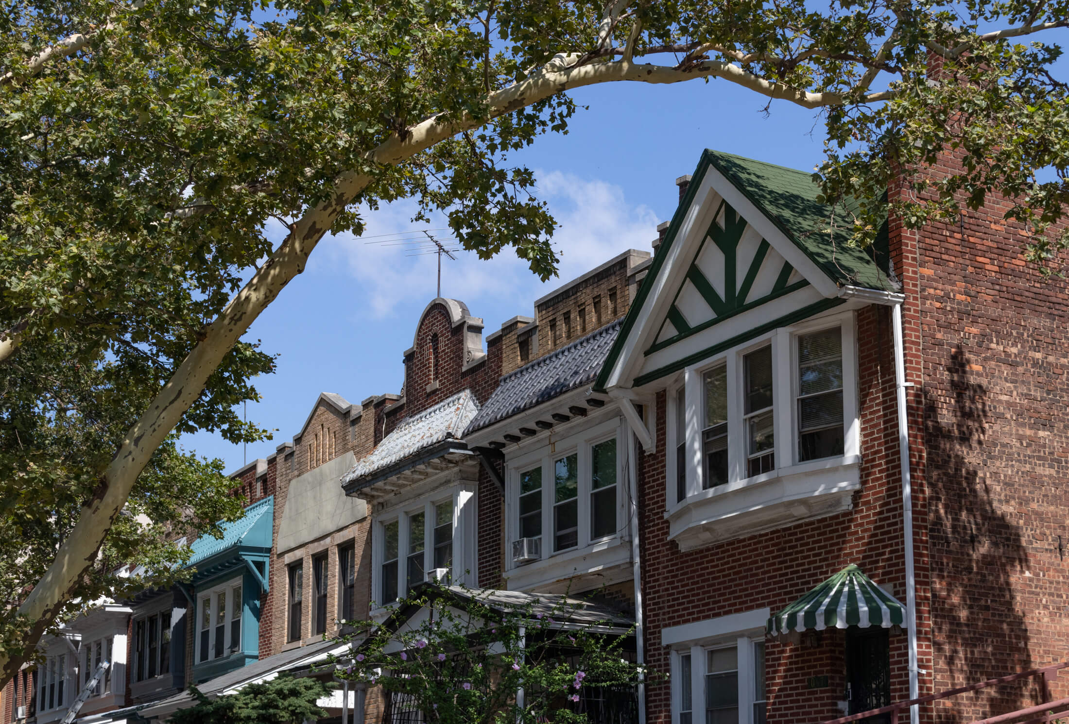 houses in crown heights