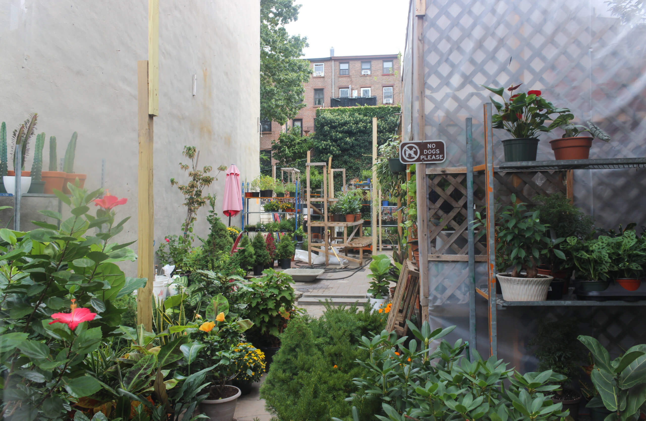 gardel's garden in fort greene brooklyn