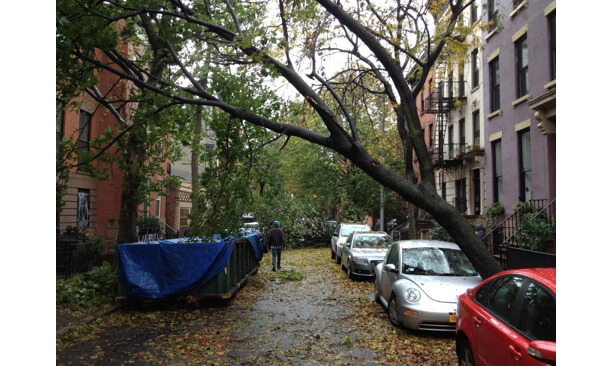 hurricane sandy brooklyn