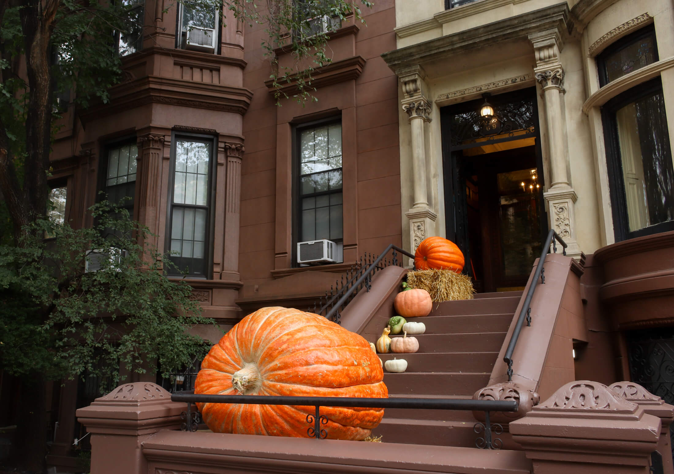 park slope stoop with giant pumpkin