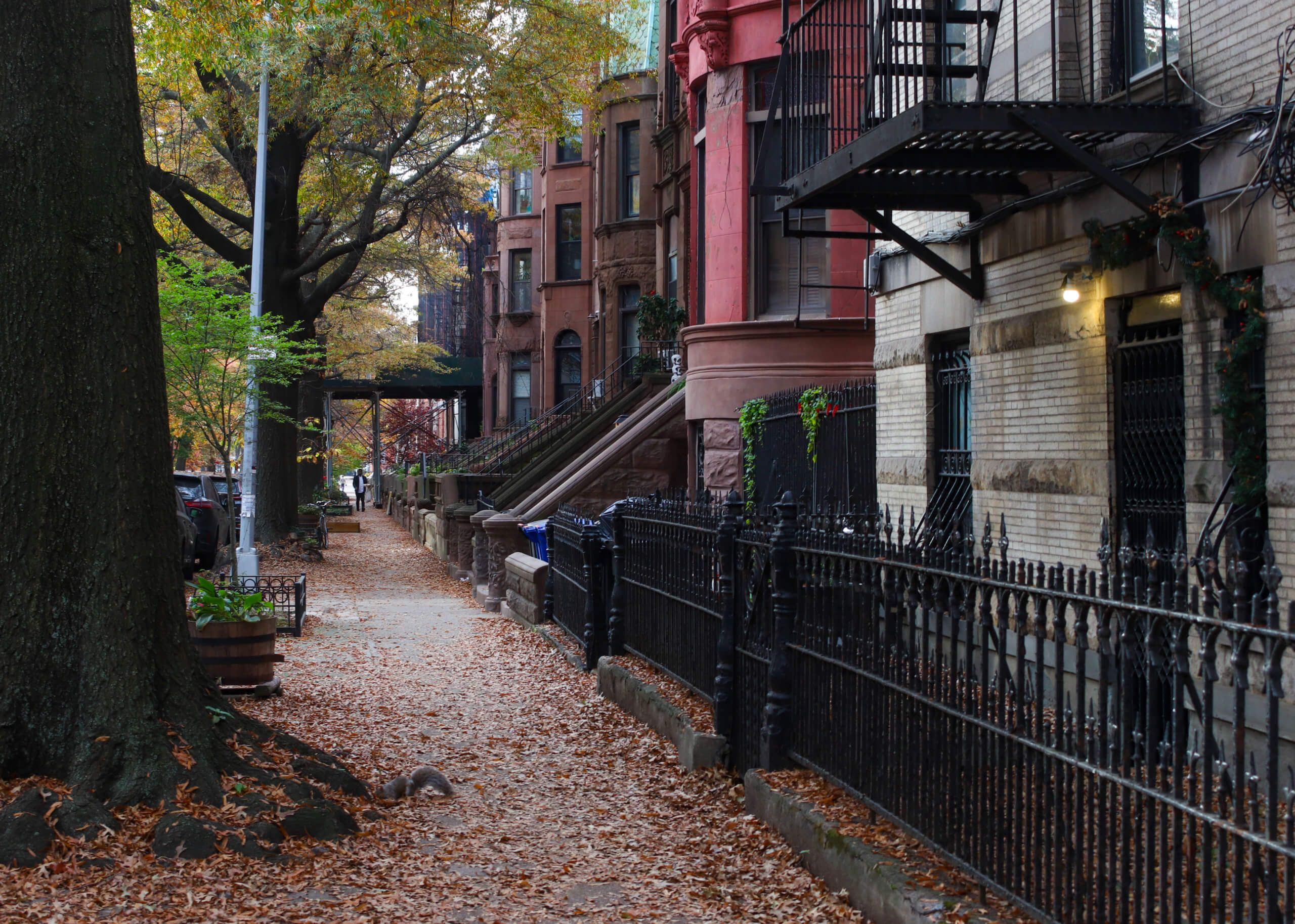 Bed stuy street