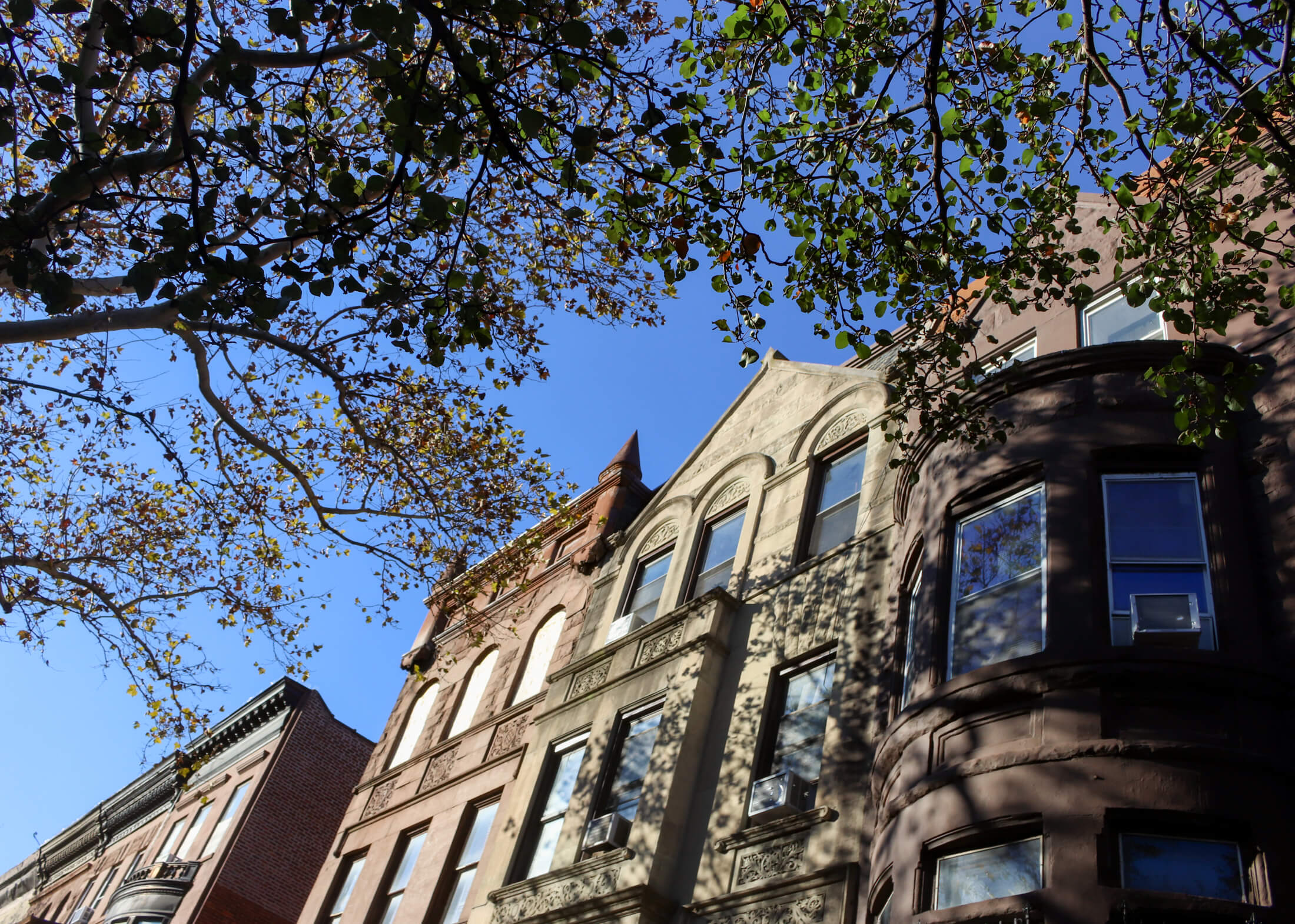 houses in bed stuy