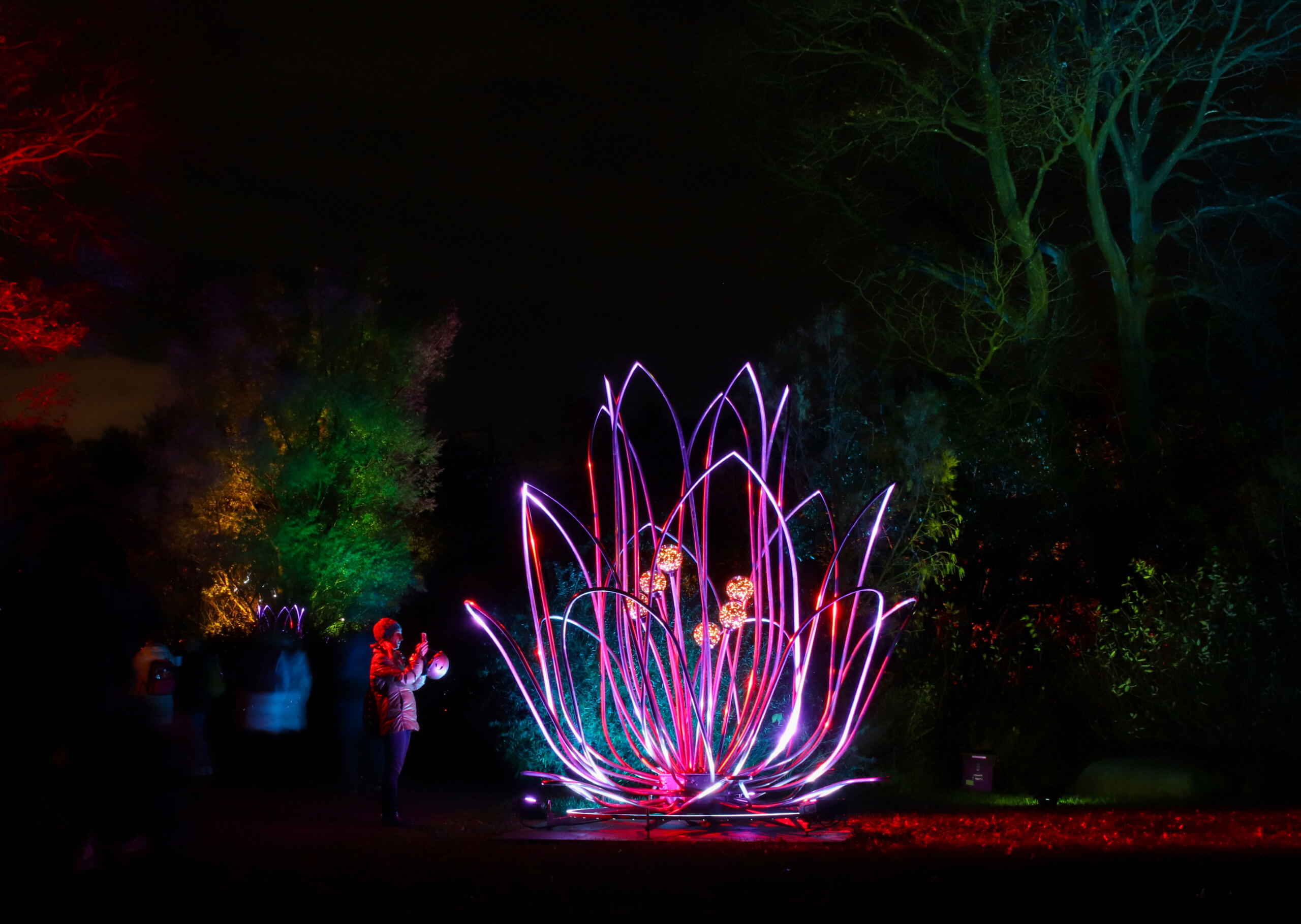 lightscape brooklyn botanic garden