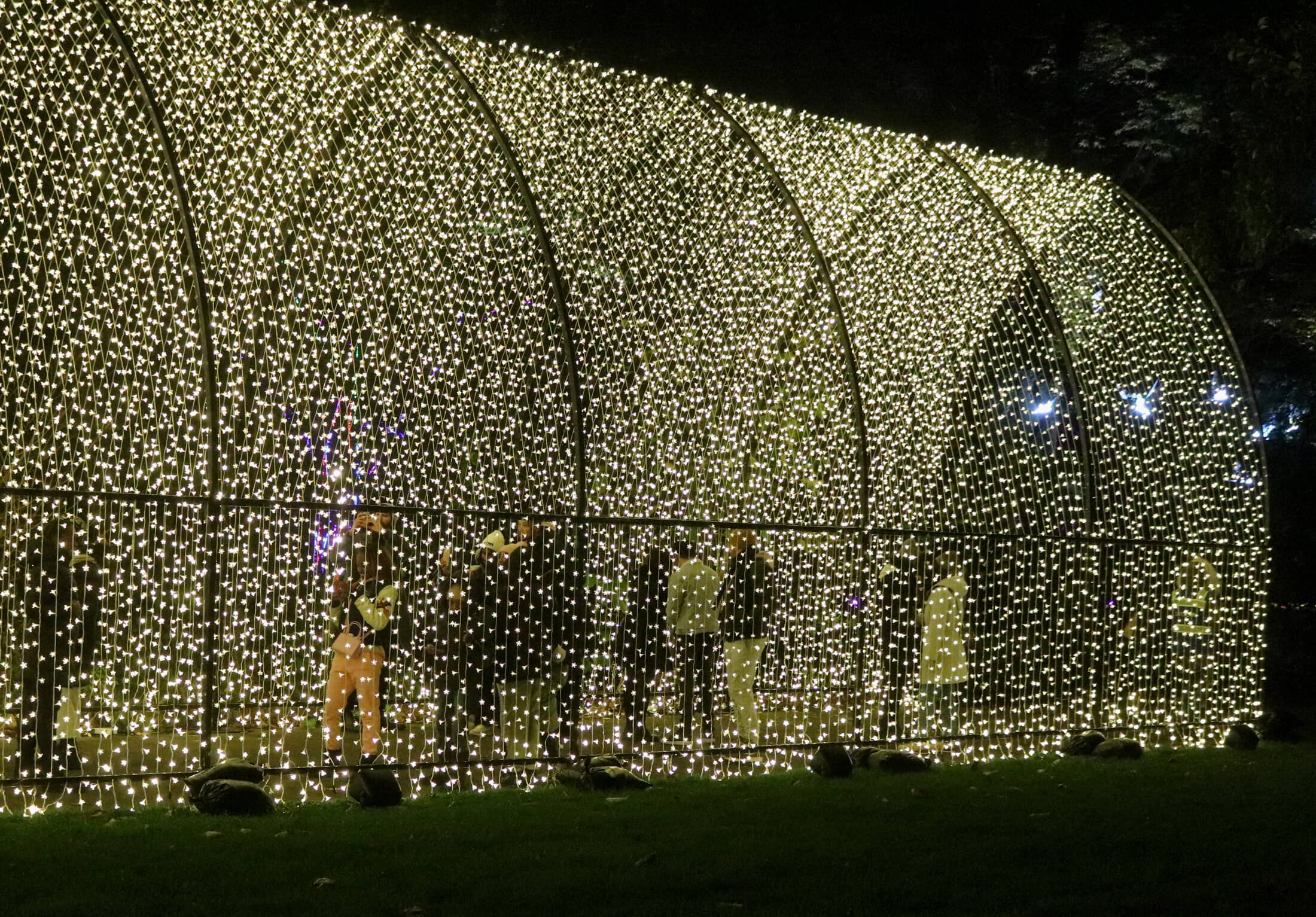 lightscape brooklyn botanic garden