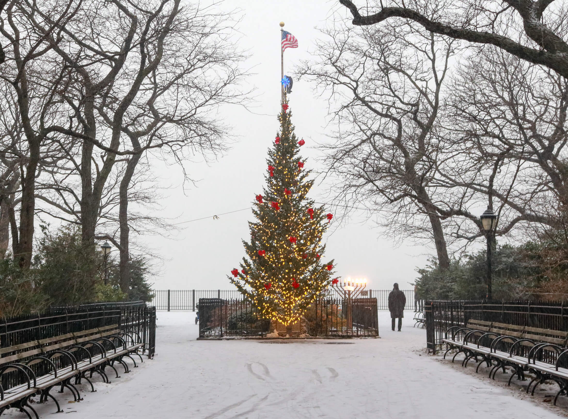 christmas tree at the Brooklyn Heights promenade