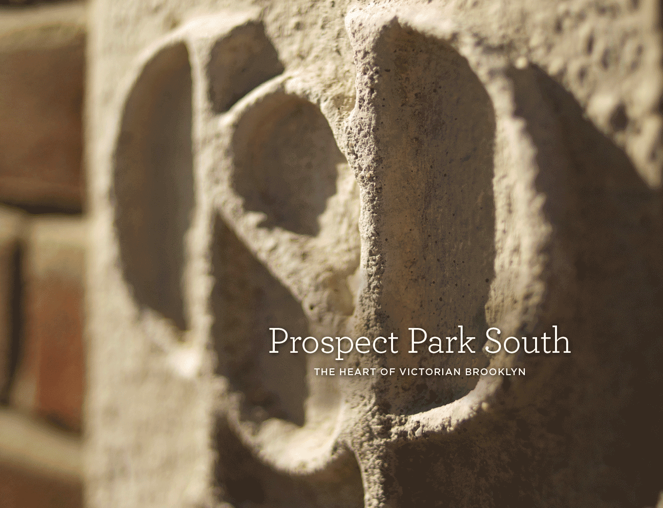 cover of prospect park south book