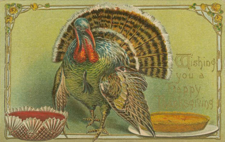 thanksgiving history postcard