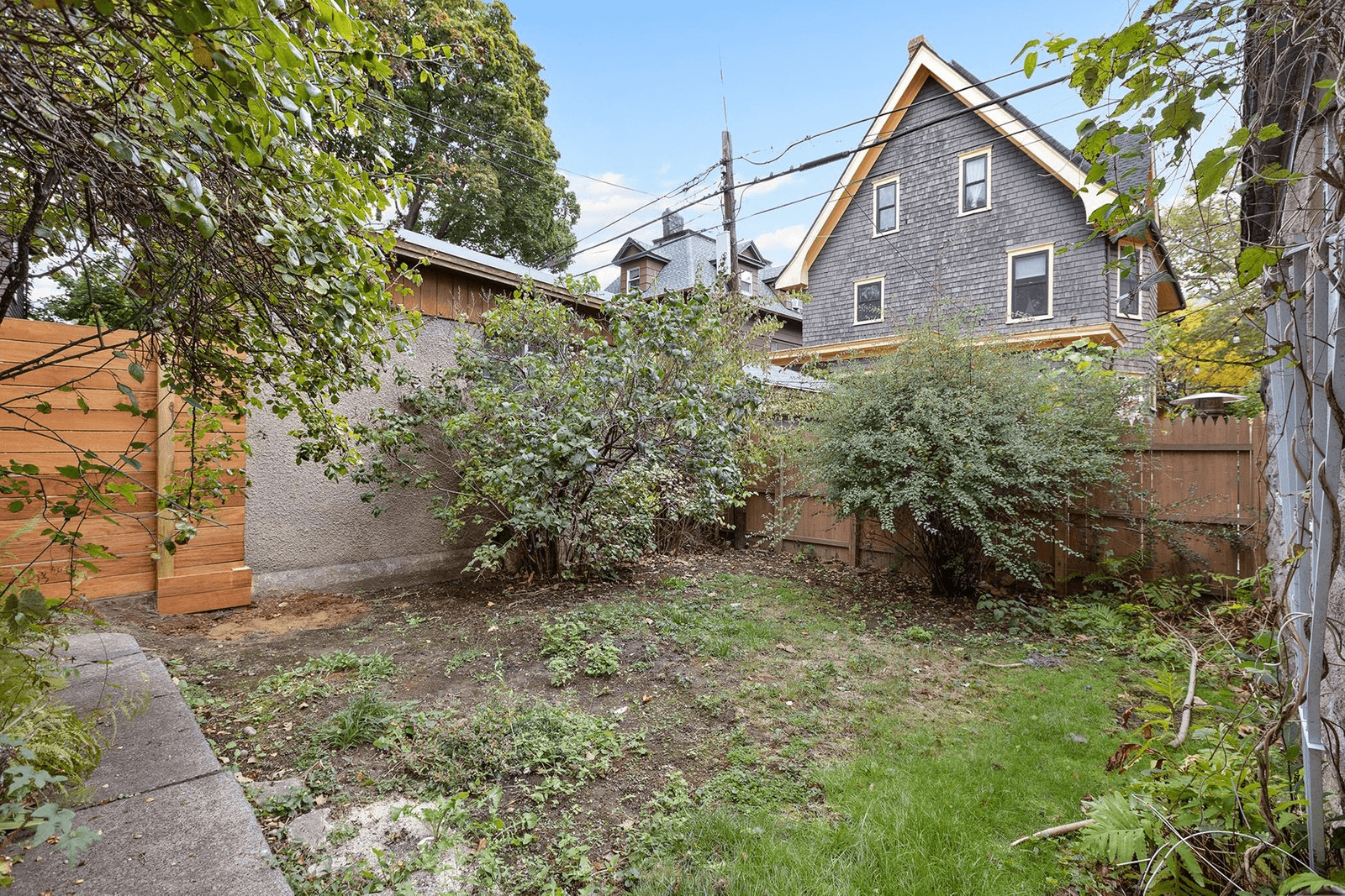 yard at 769 argyle road