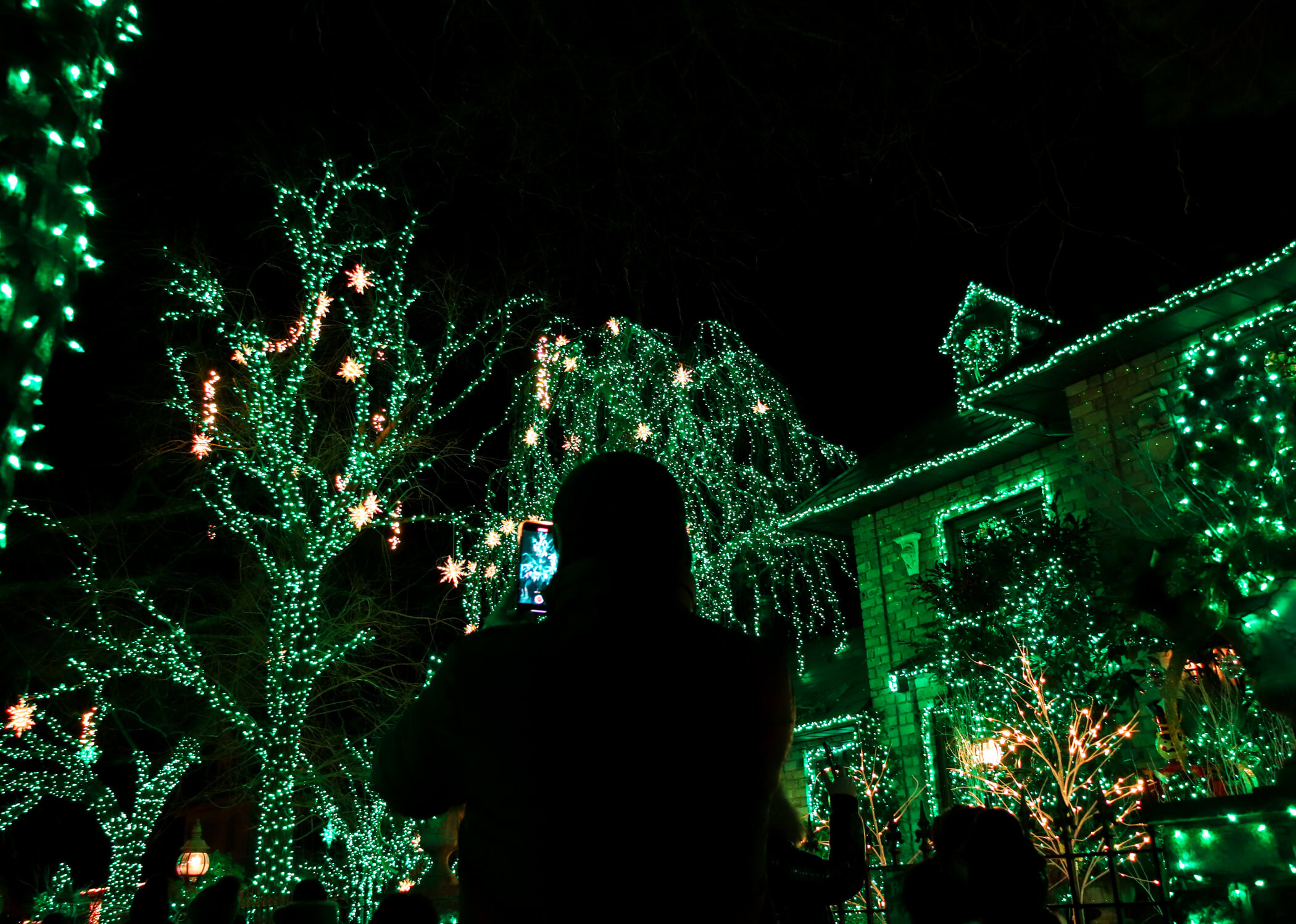 dyker heights christmas lights