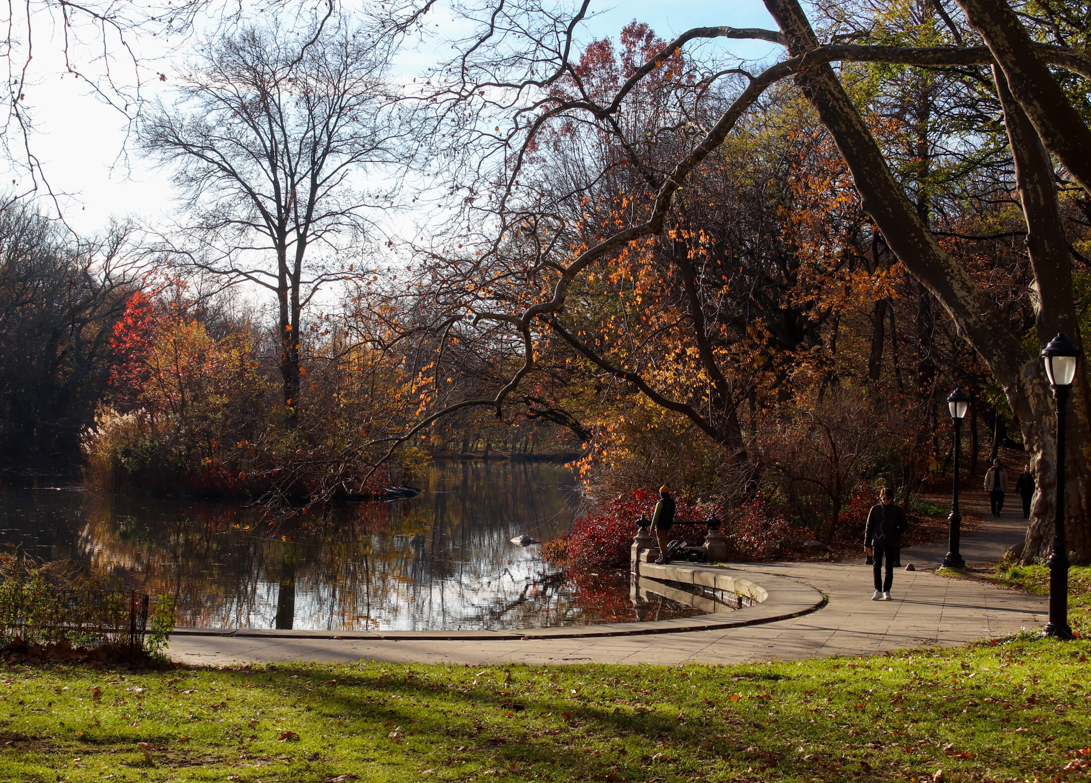 fall in prospect park