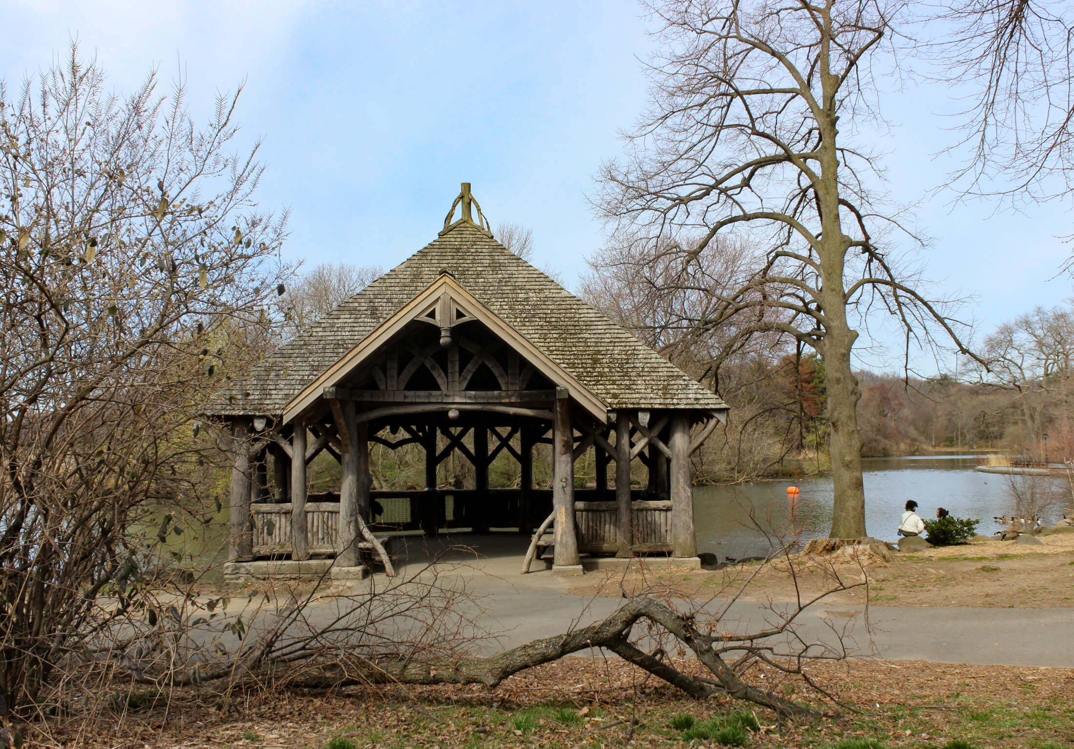 people sitting by the lake in prospect park