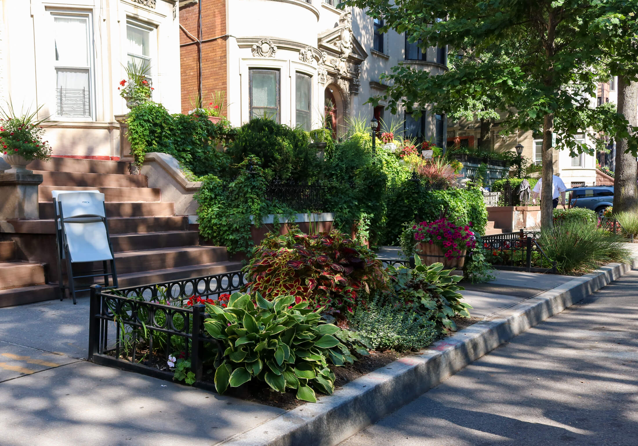 tree pits on stuyvesant avenue