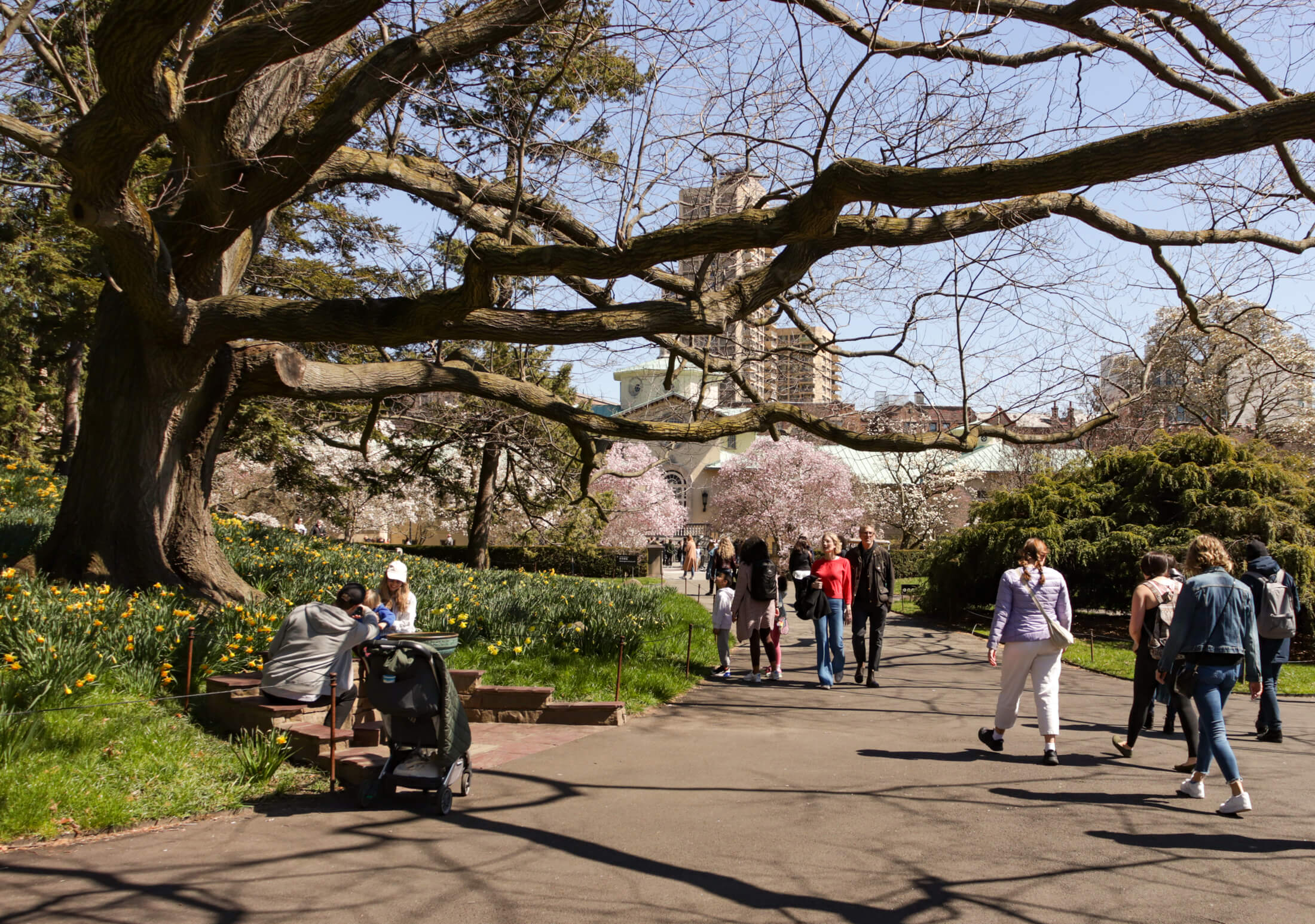 people strolling through the botanic garden