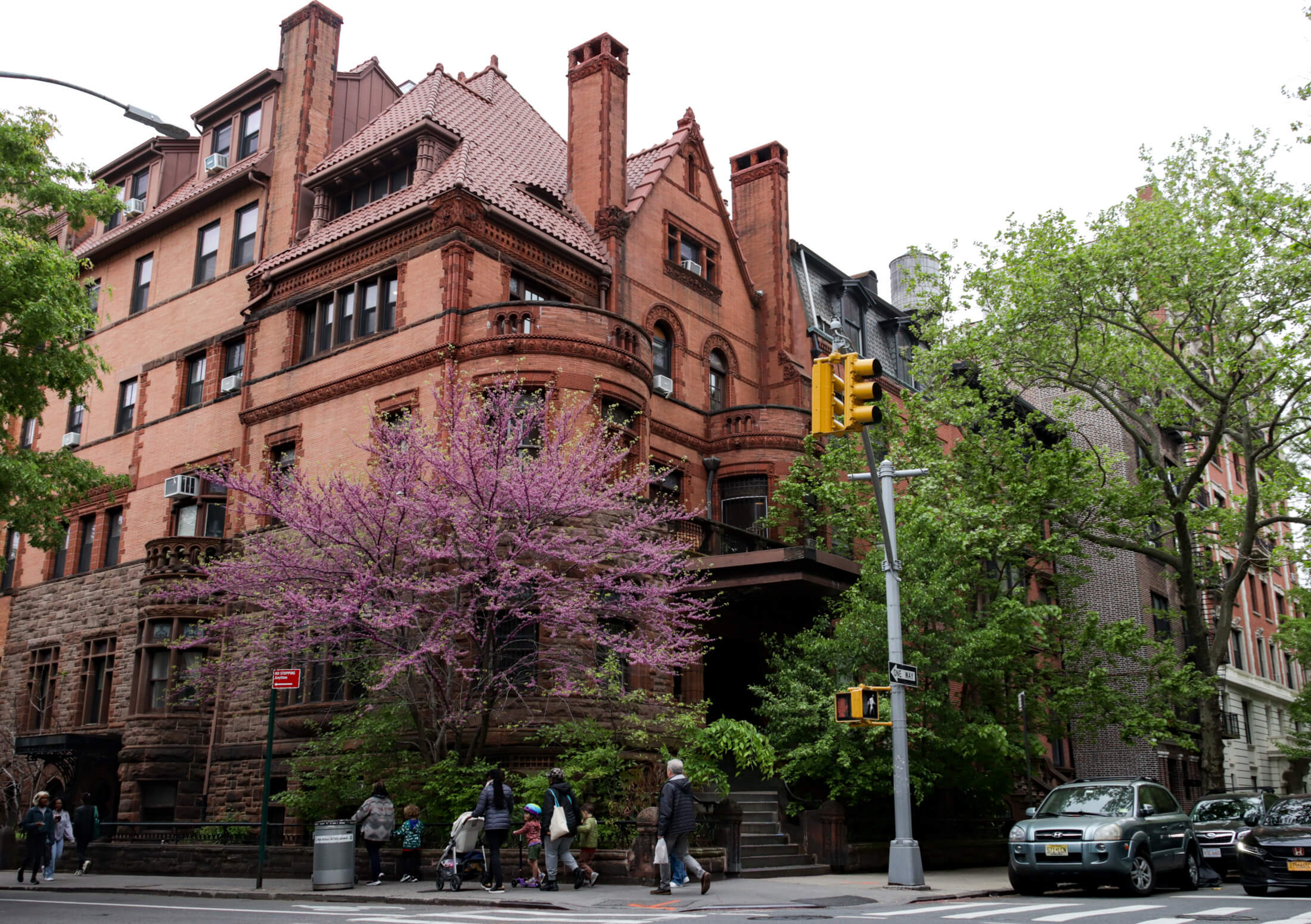 spring tree in bloom