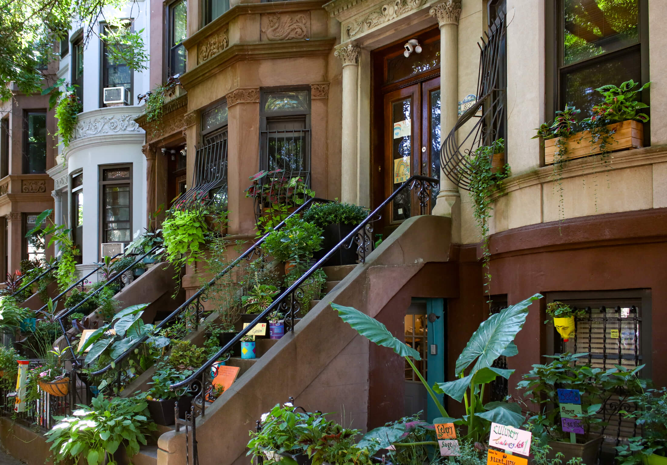 greenest block in brooklyn stoops with plants