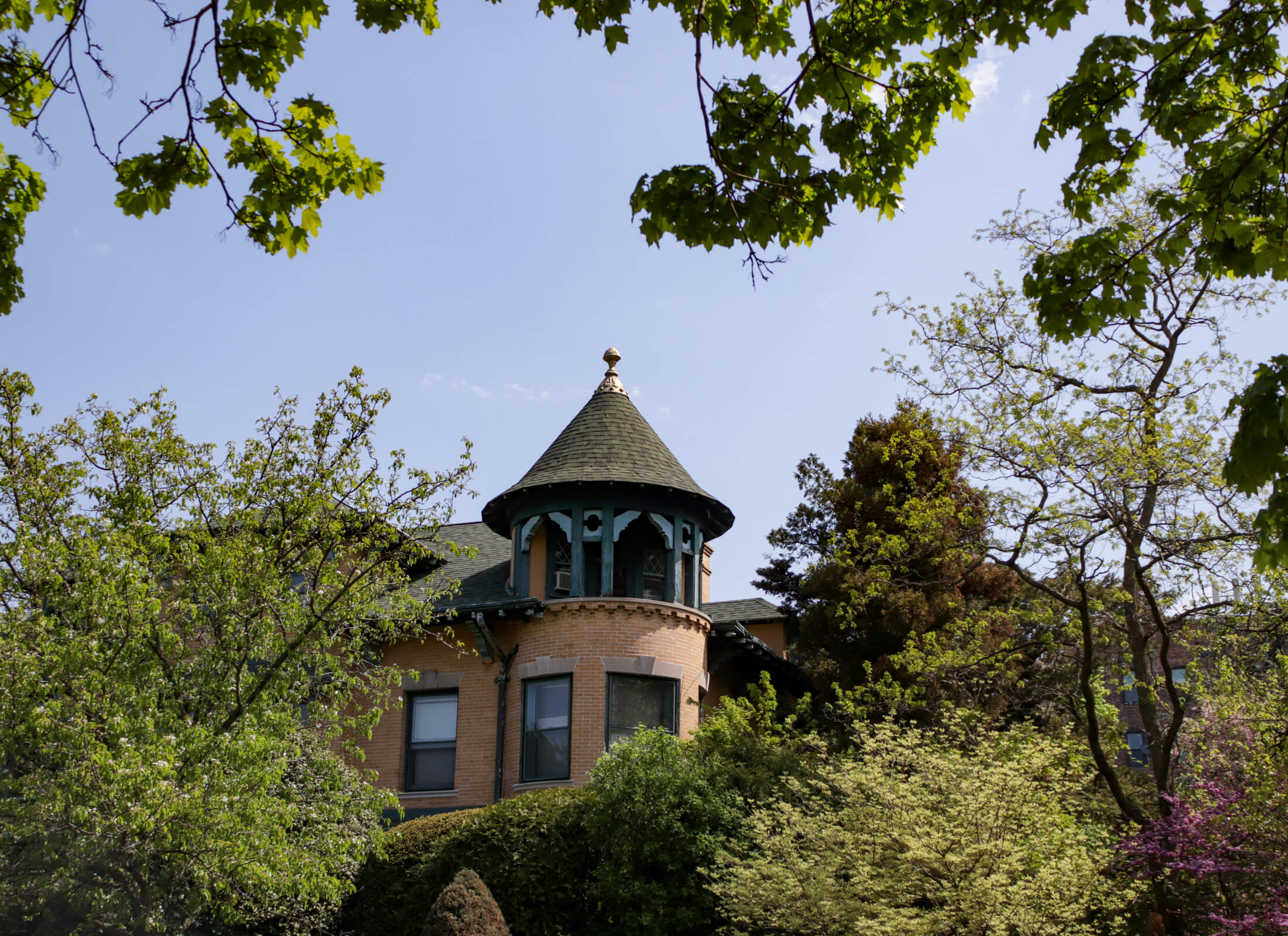 trees and a roof