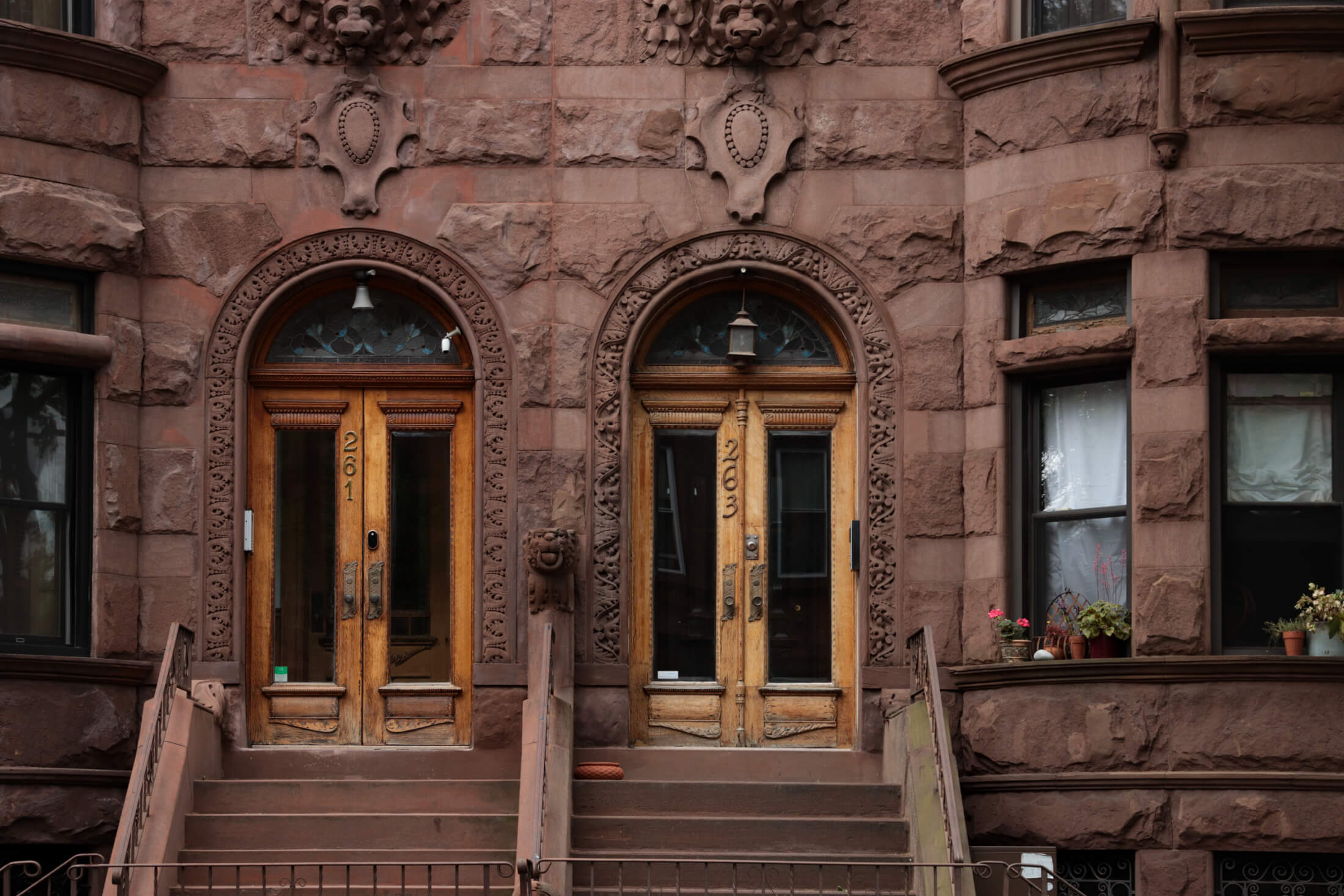 brownstone stoops in Bed Stuy
