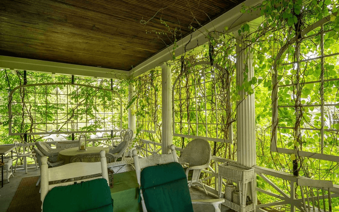columned porch with vines