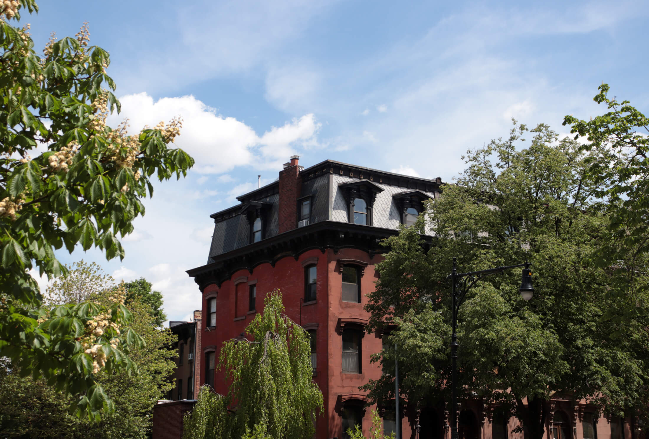 a mansard roof surrounded by trees in fort greene