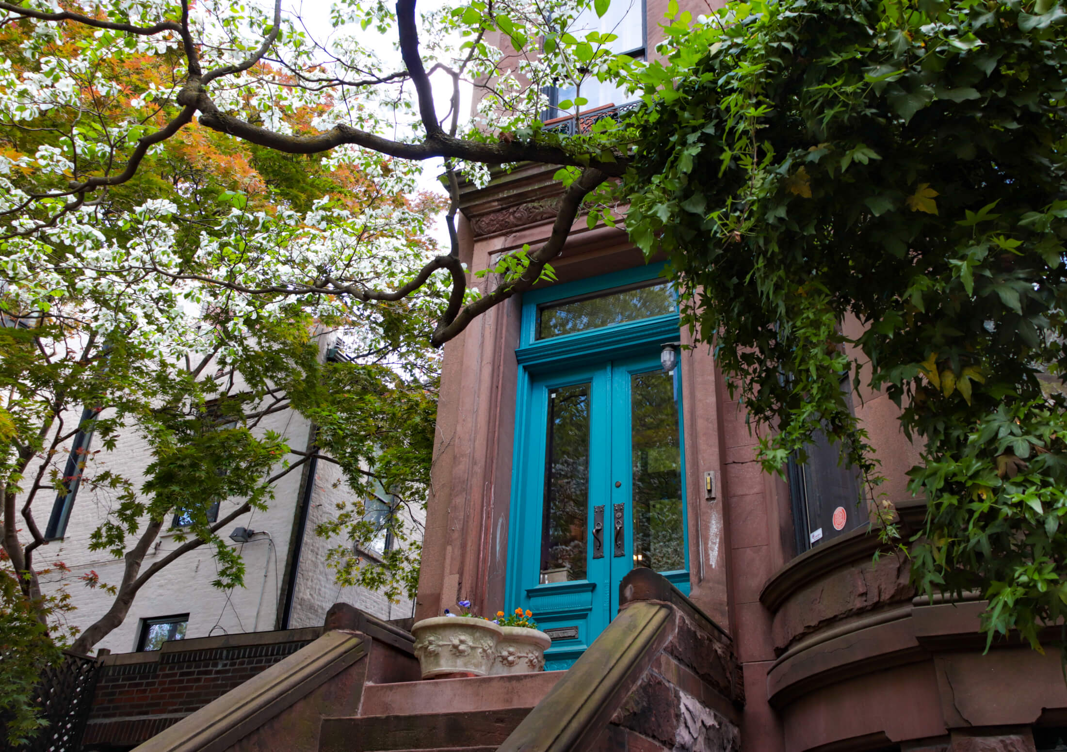 stoop with a blue door