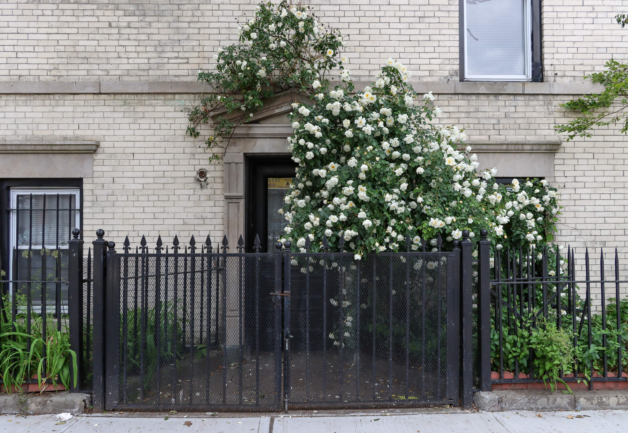 door surrounded by roses