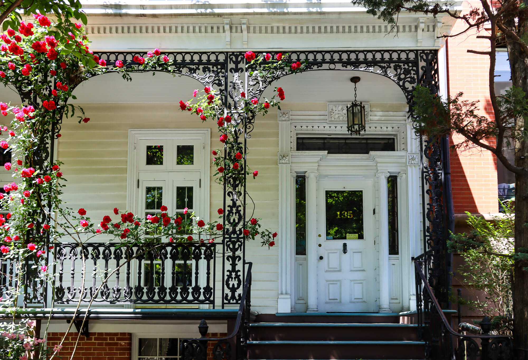 roses climbing up the iron railing of 135 joralemon street