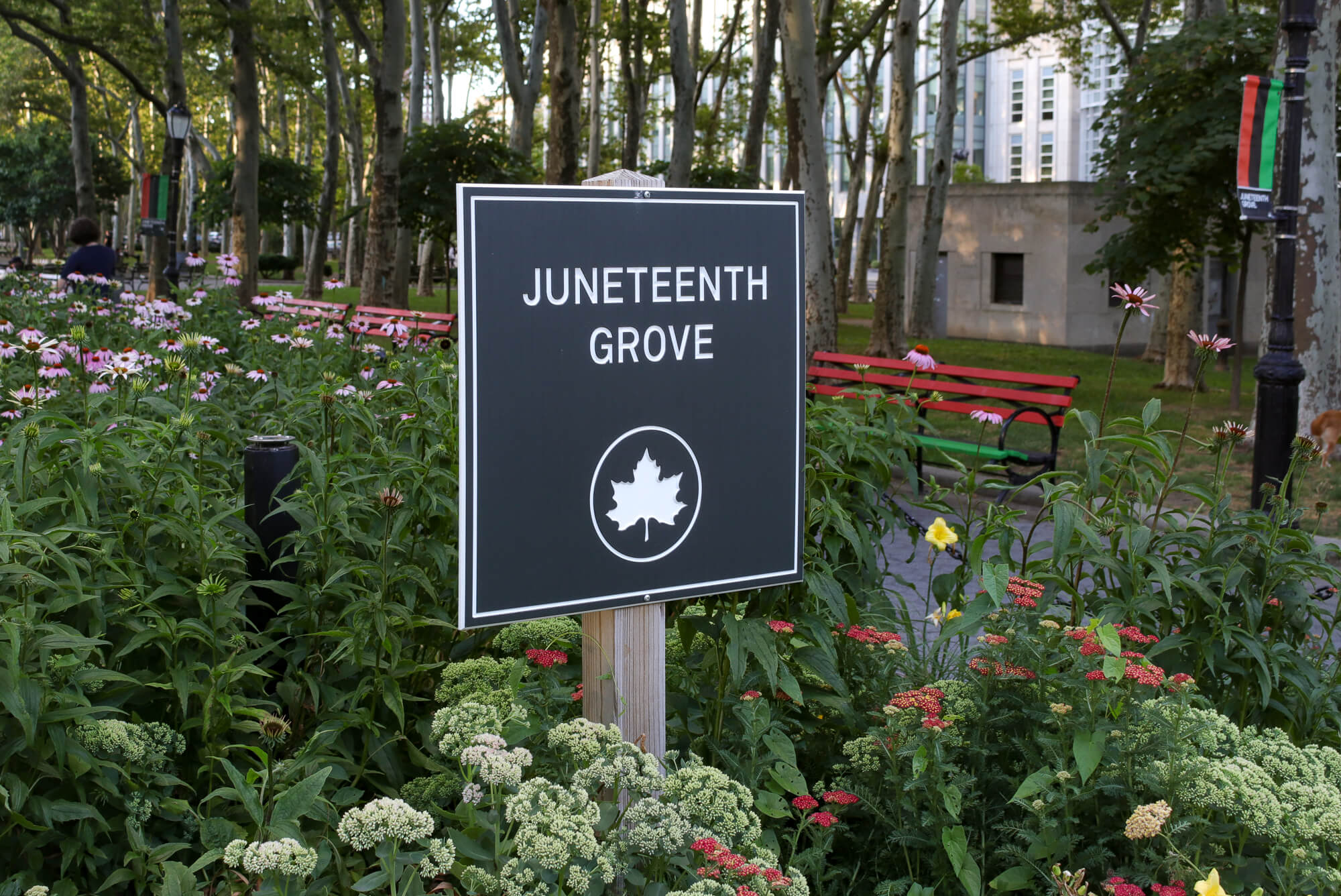 sign for juneteenth grove in downtown brooklyn