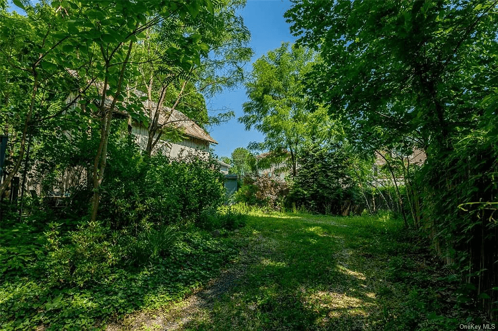 tree covered yard