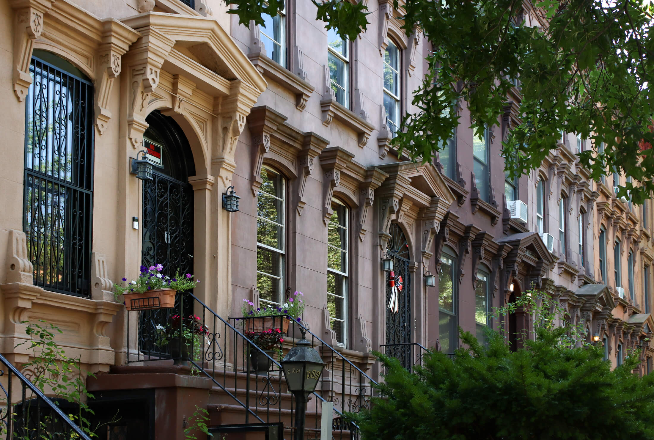 willoughby avenue - brownstone stoops