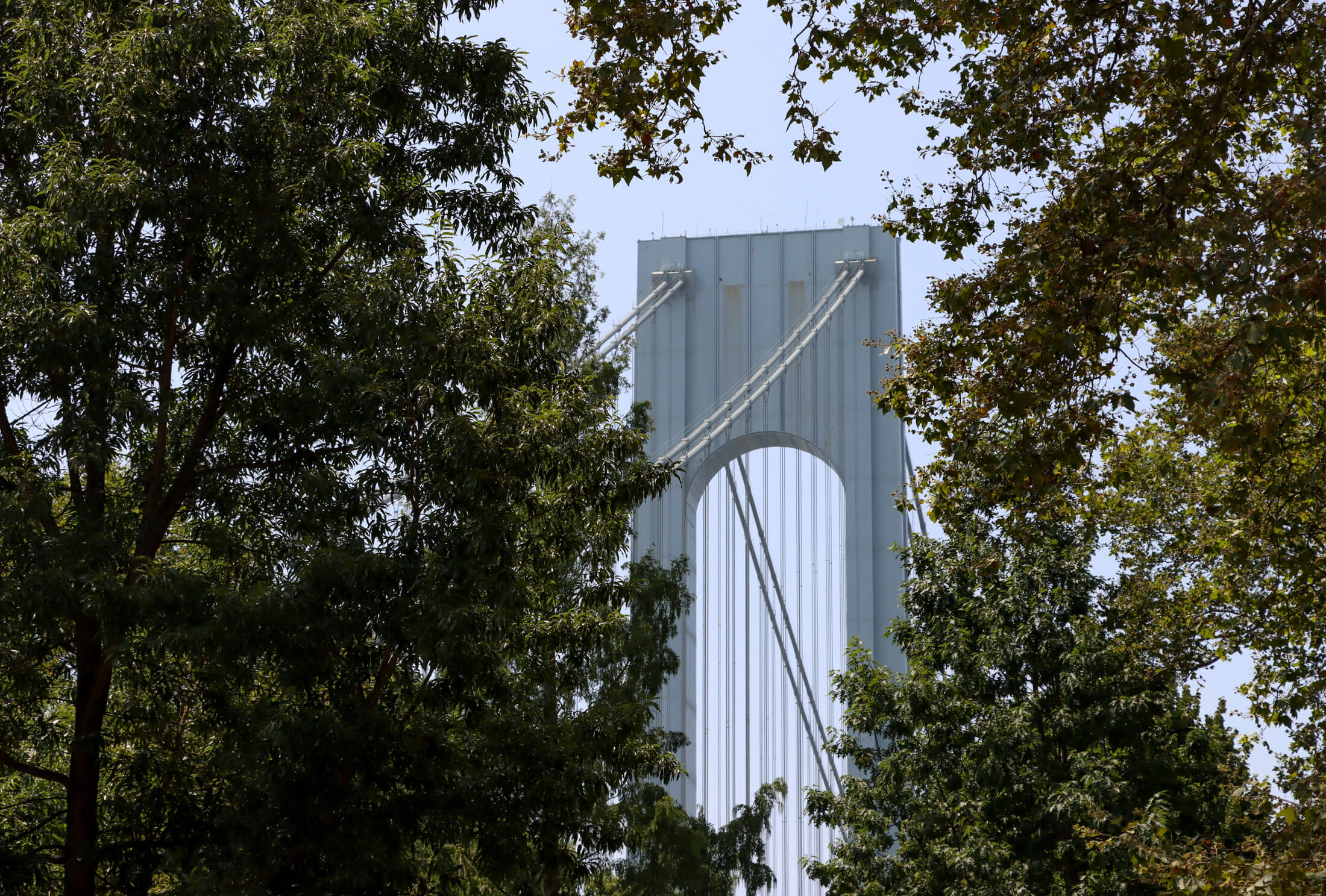a view of the verrazano bridge through the trees
