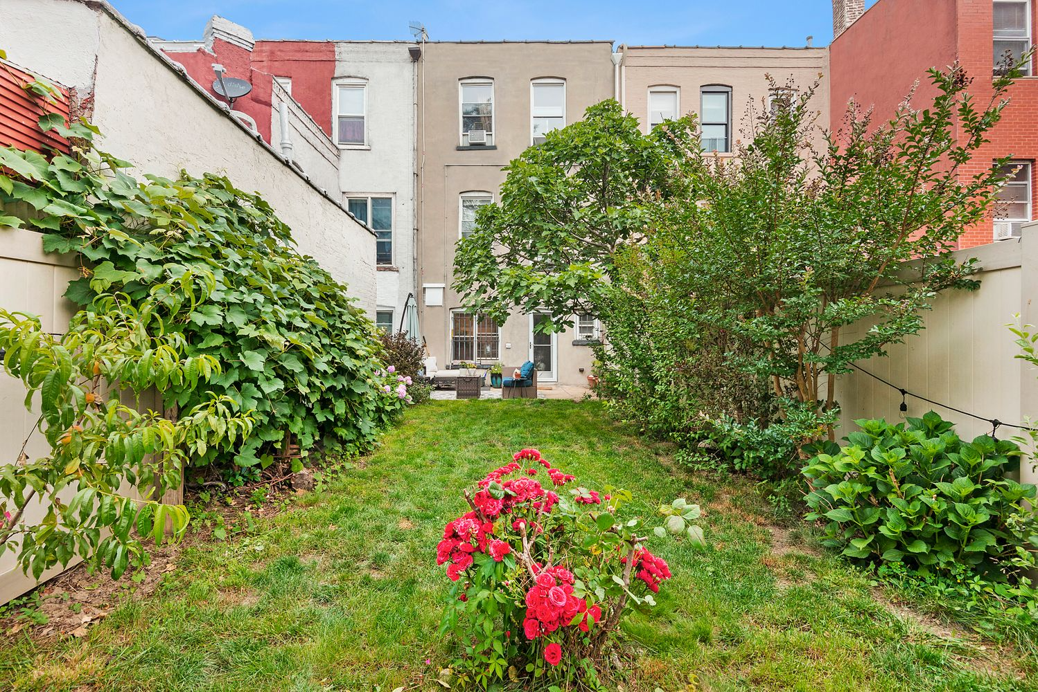 garden with shrubs and perennials