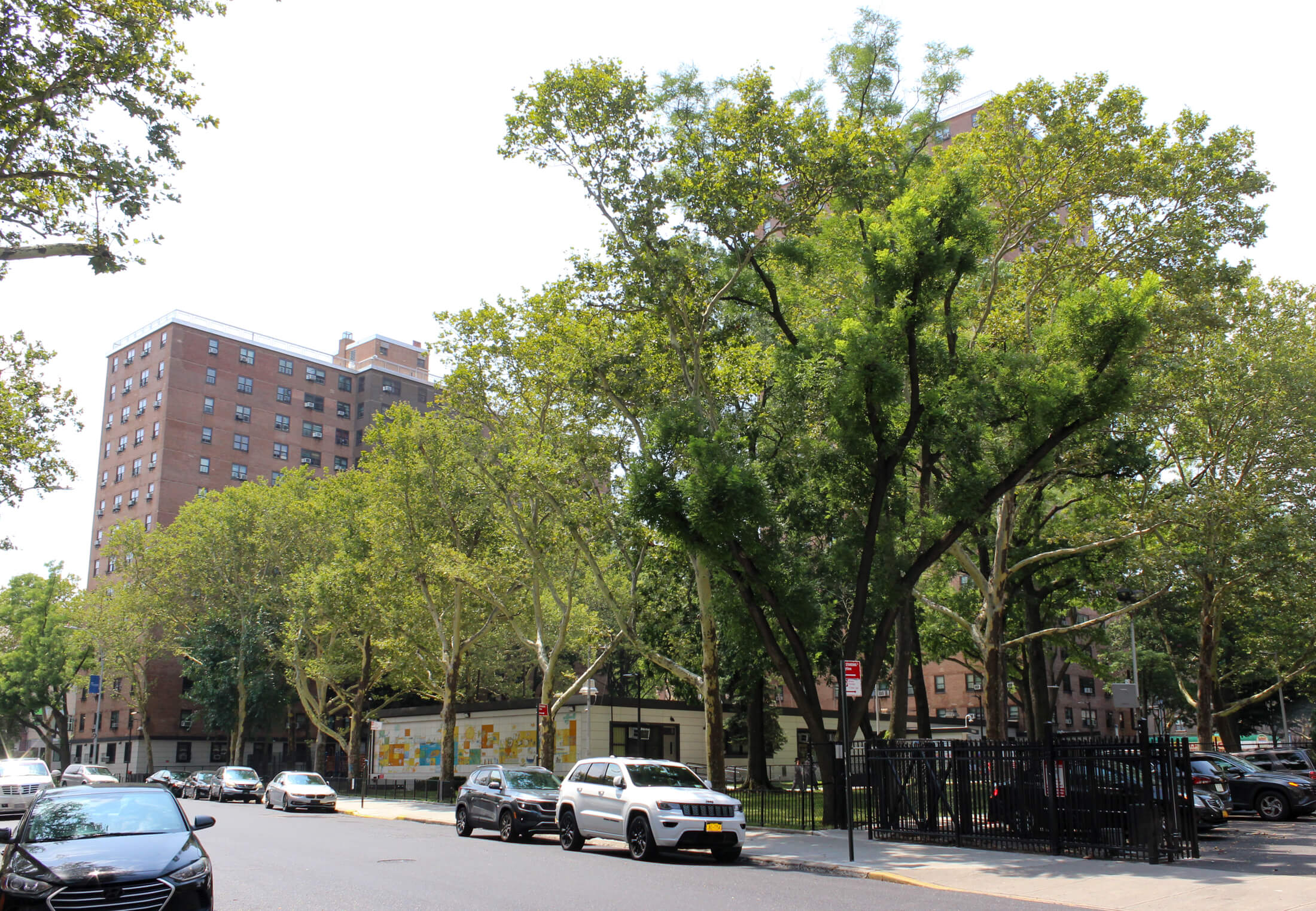 williams plaza