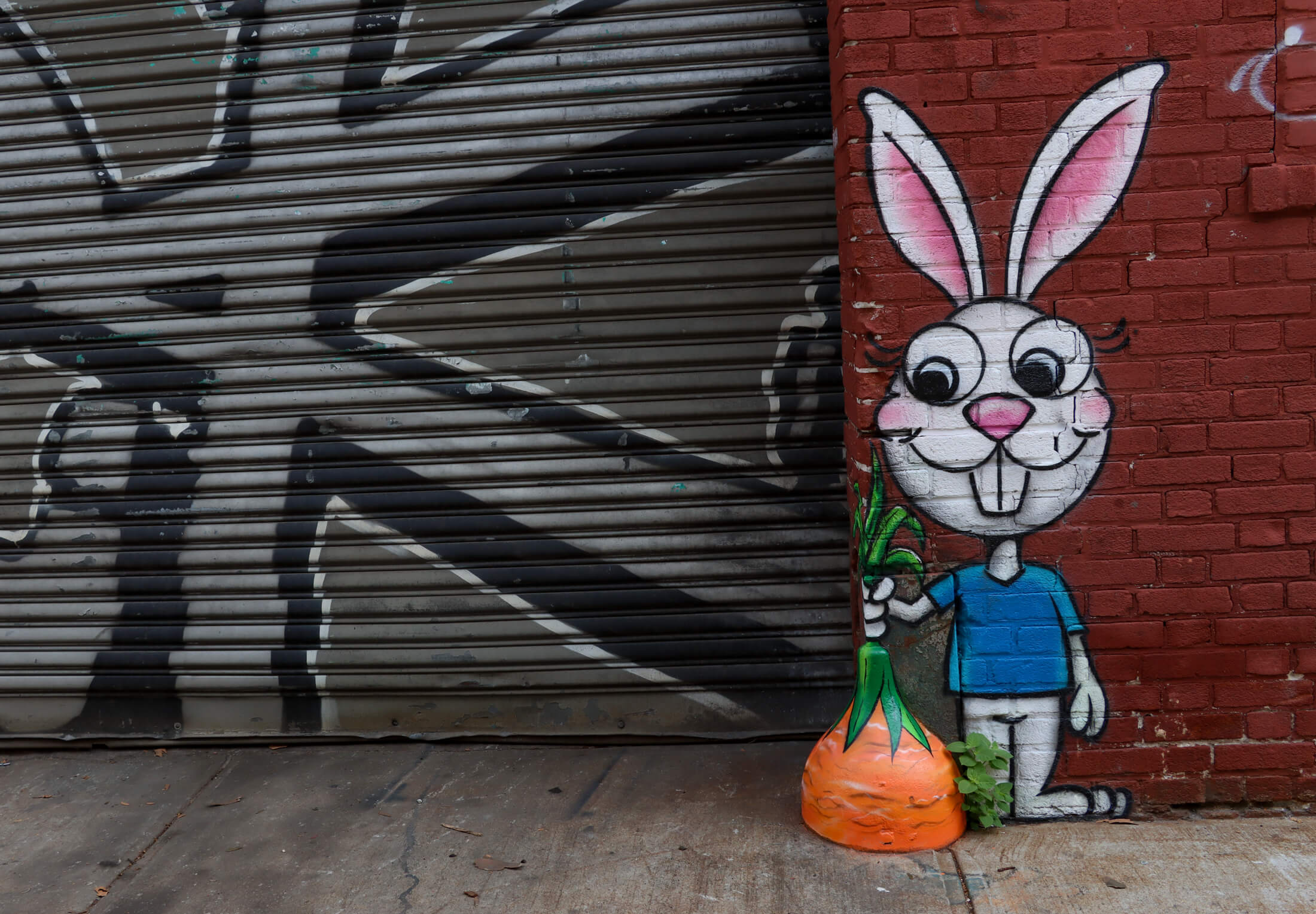 brooklyn news - photo of the daya rabbit holding a carrot painted on a brick building in williamsburg