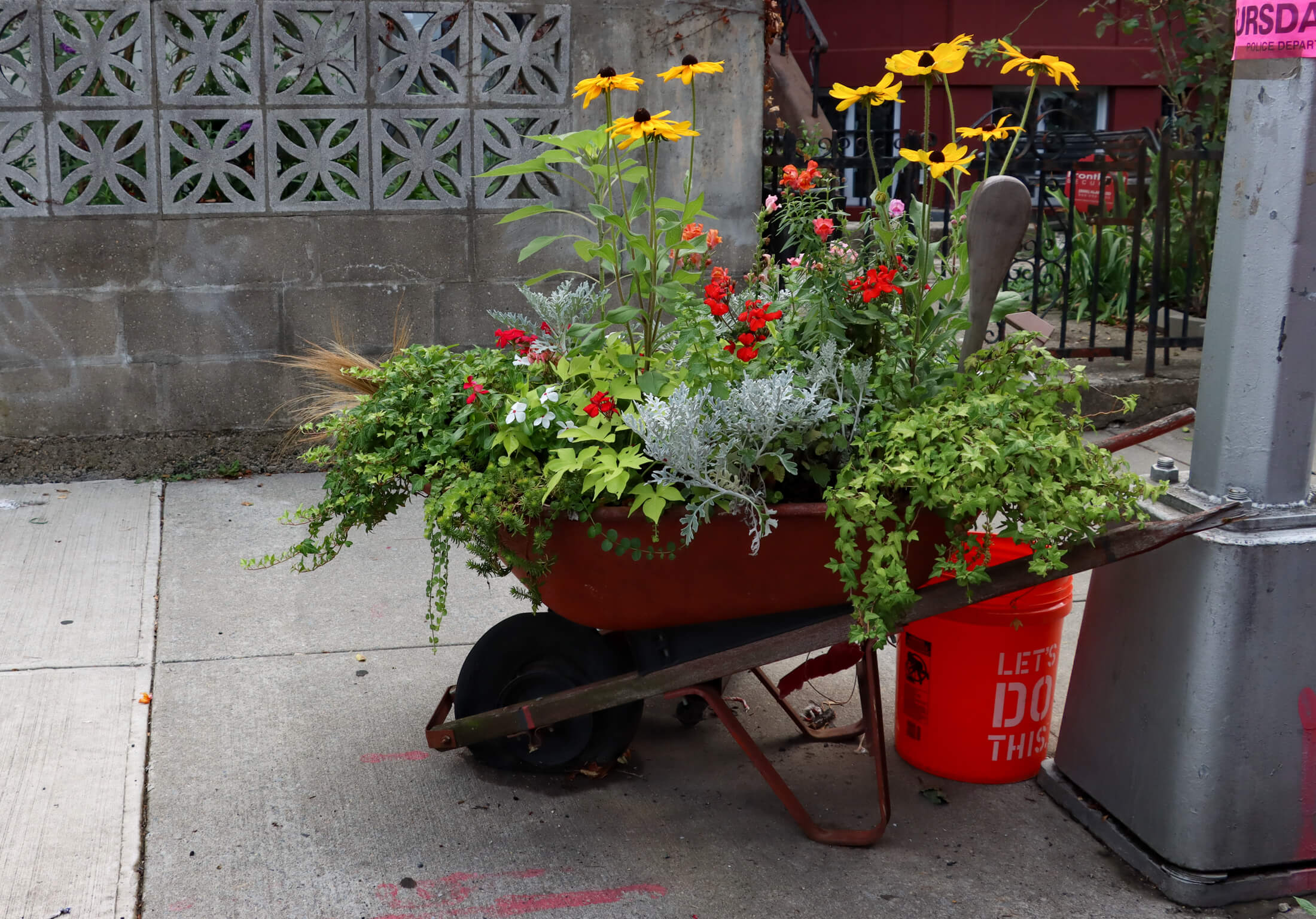 a wheelbarrow filled with flowers