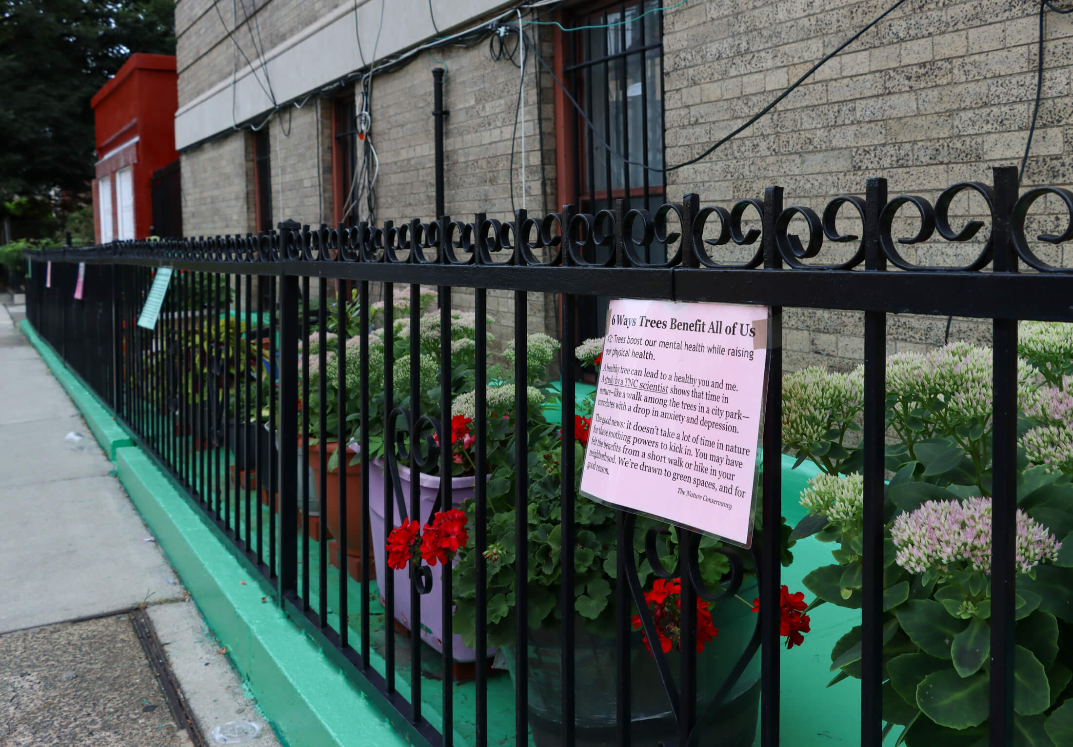 laminated signs hanging on a fence provided information about the importance of trees