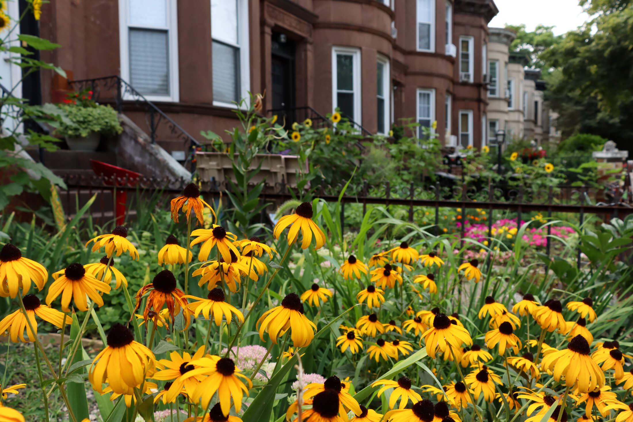 a view of flower filled front gardens