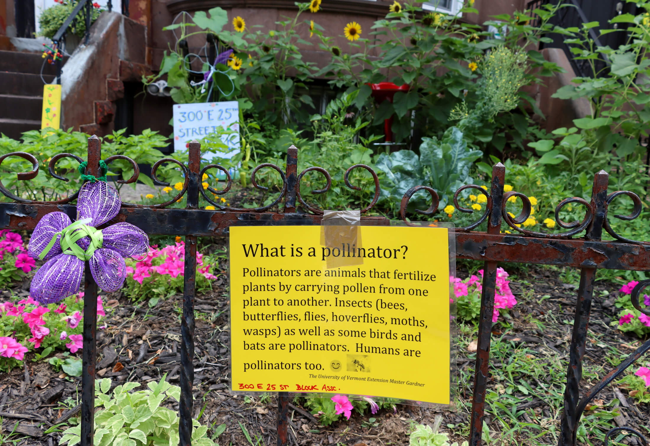a sign explaning what a pollinator is