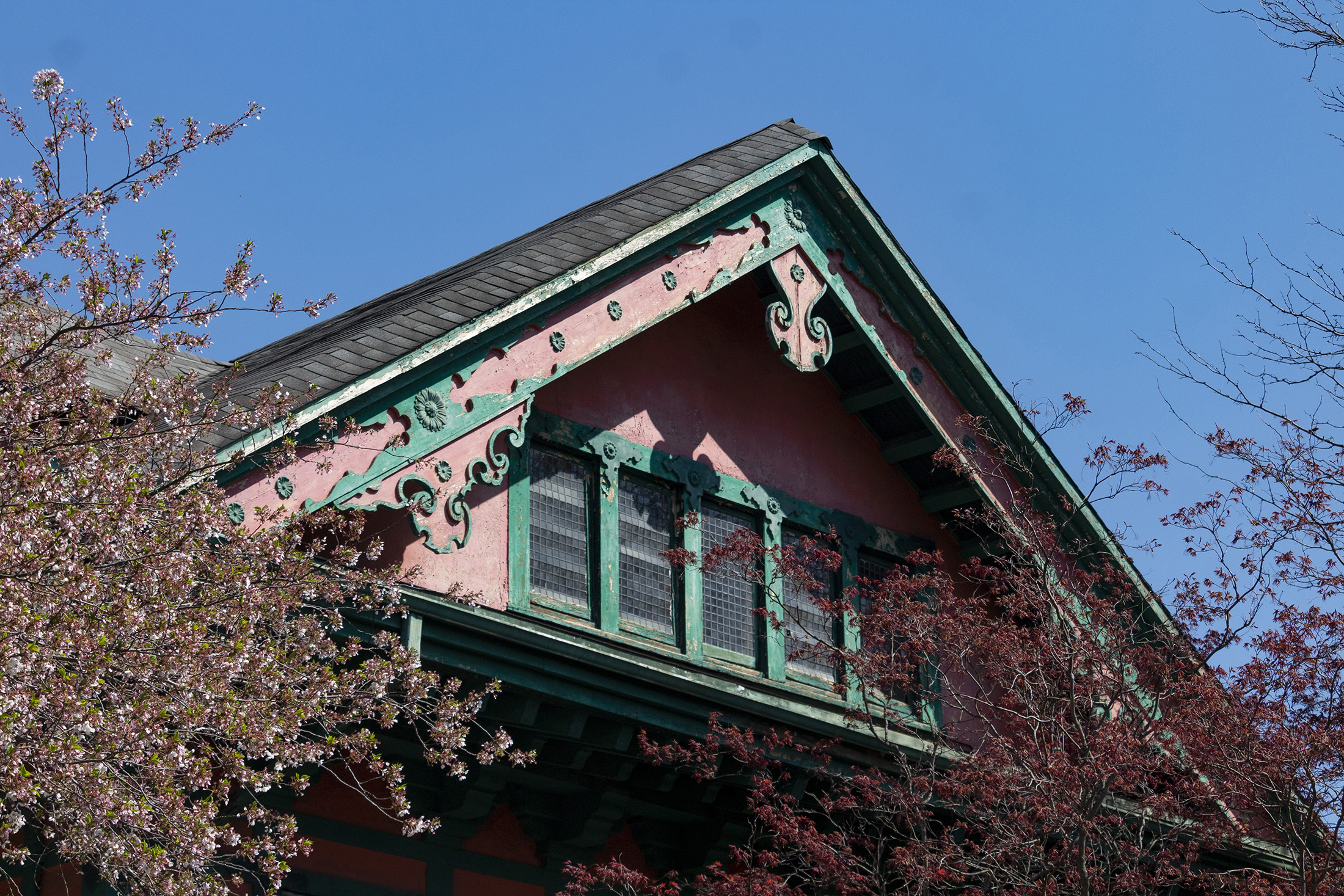 spring trees in bloom frame the decorated gable of the house