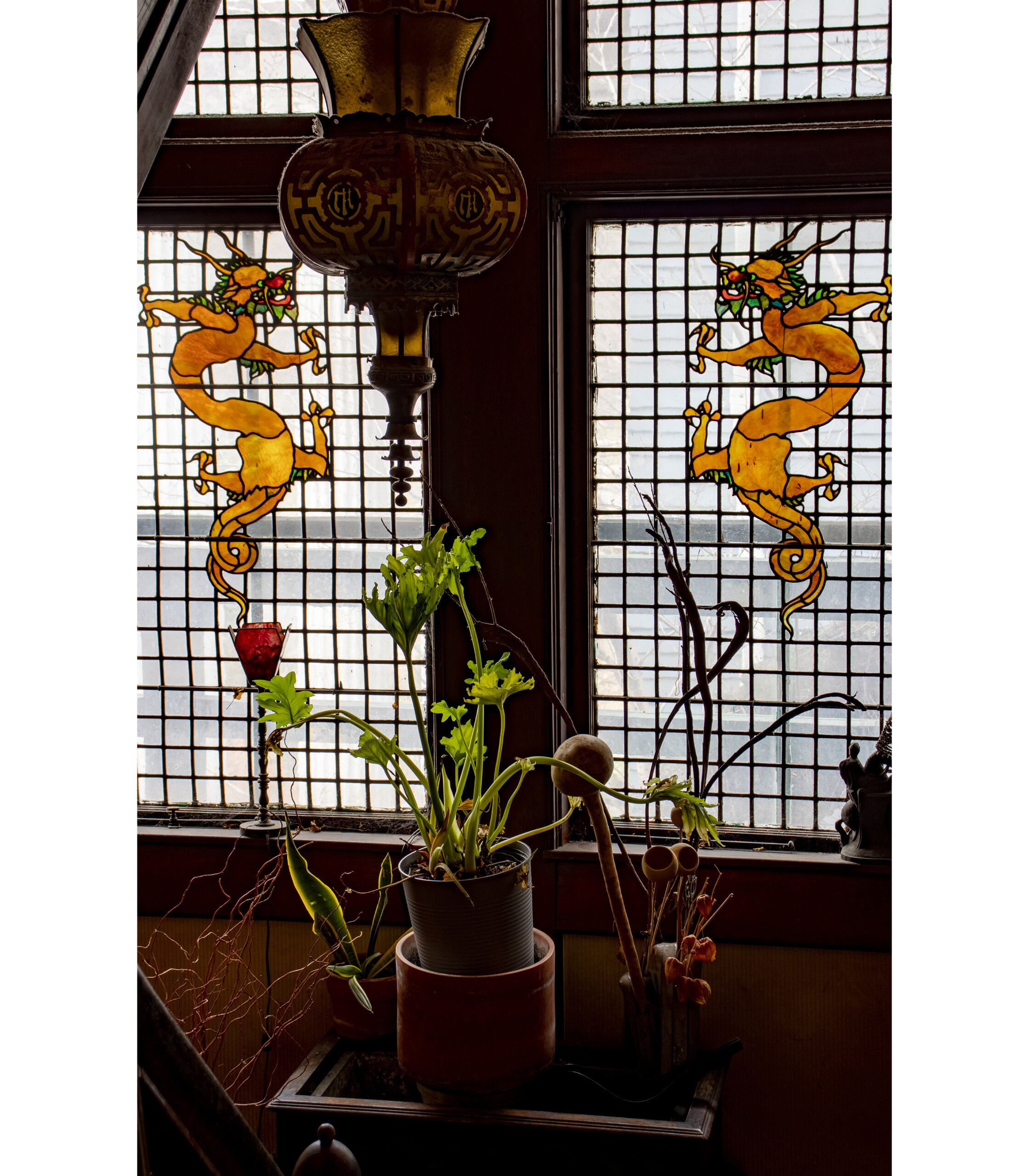 two orange stained glass dragons