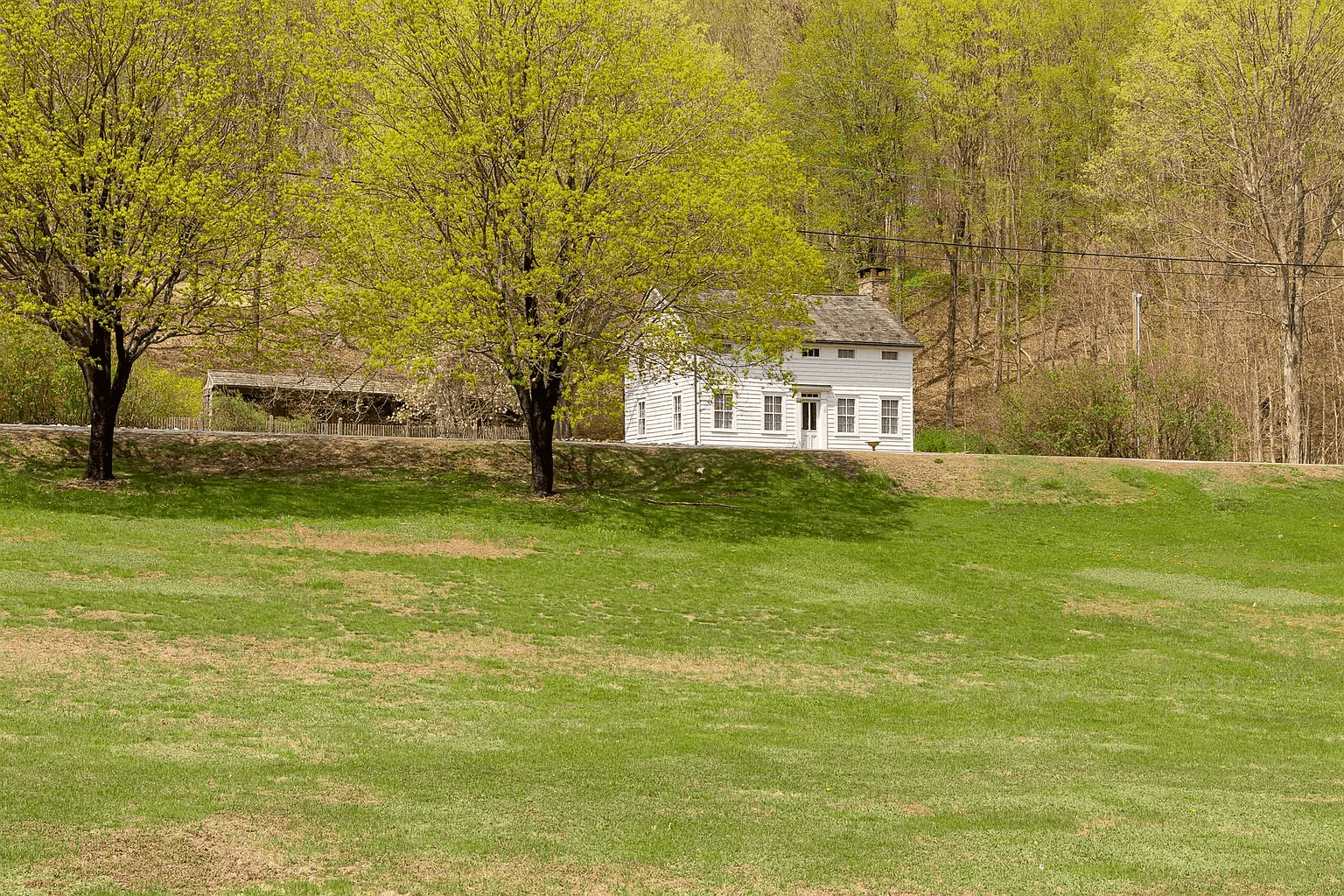 view of lawn and house across the street