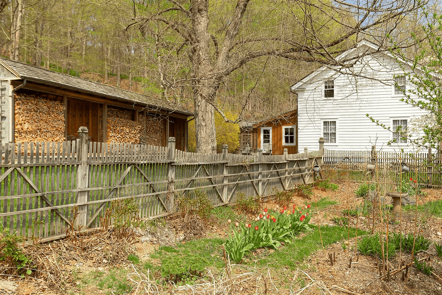 view of shed