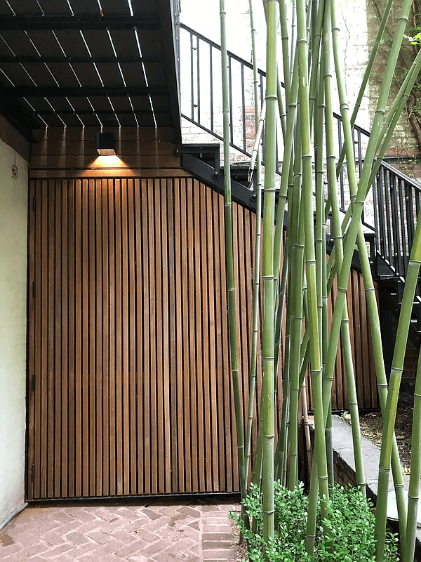 garden with bamboo