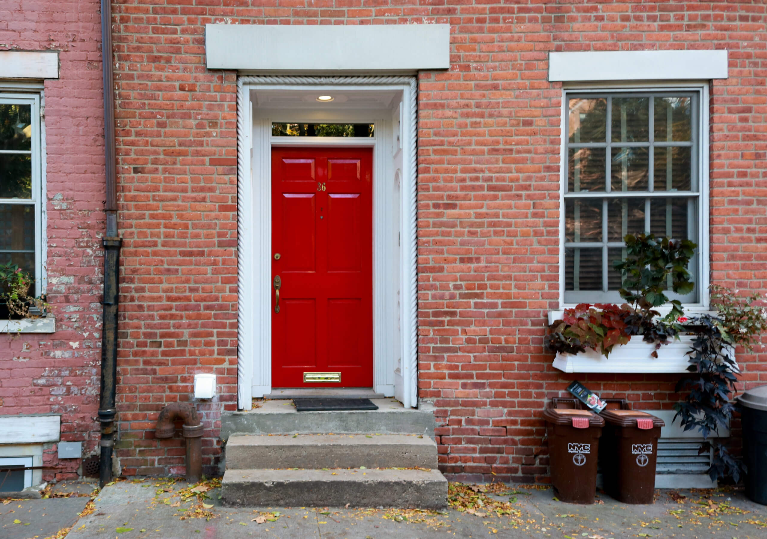 compost bins outside a brooklyn dwelling