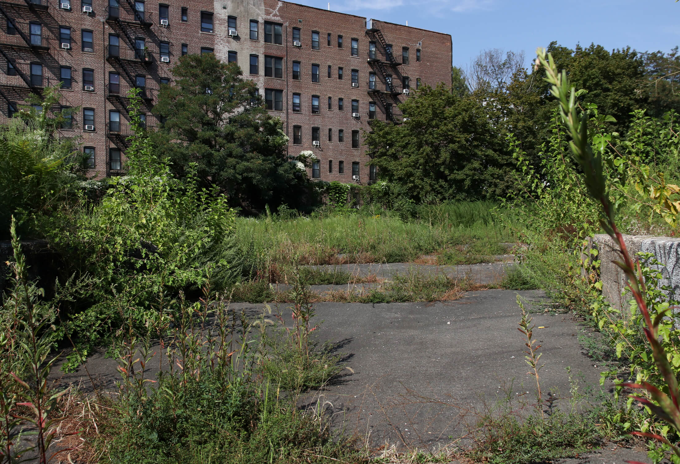 emoty lot with asphalt and weeds next to the spice factory