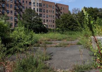 emoty lot with asphalt and weeds next to the spice factory